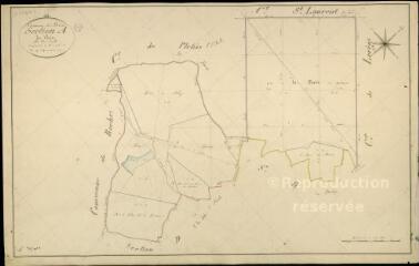 1 vue  - Briou : plans du cadastre napoléonien. Section A dite des bois (ouvre la visionneuse)