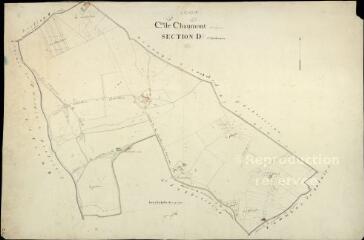 1 vue  - Chaumont-sur-Loire : plans du cadastre napoléonien. Section D2 (ouvre la visionneuse)