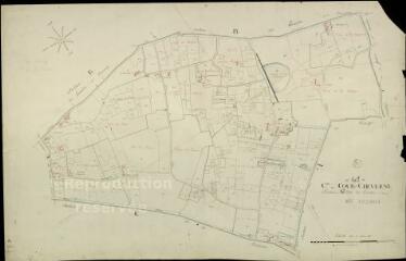 1 vue  - Cour-Cheverny : plans du cadastre napoléonien. Section A2 dite du tertre (ouvre la visionneuse)