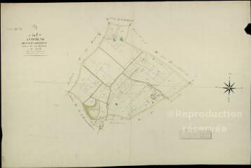 1 vue  - Cour-Cheverny : plans du cadastre napoléonien. Section G1 dite des murblins (ouvre la visionneuse)