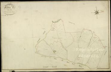 1 vue  - Feings : plans du cadastre napoléonien. Section F2 dite du bourg et des aunaies (ouvre la visionneuse)