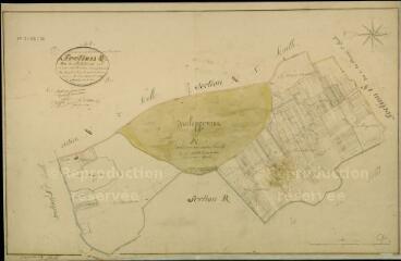 1 vue  - Huisseau-sur-Cosson : plans du cadastre napoléonien. Section Q dite du Richebourg (ouvre la visionneuse)