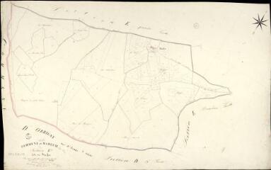 1 vue  - Mareuil-sur-Cher : plans du cadastre napoléonien. Section E3 dite de basfer (ouvre la visionneuse)