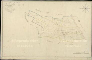 1 vue  - Montrouveau : plans du cadastre napoléonien. Section A2 dite du port gandon (ouvre la visionneuse)