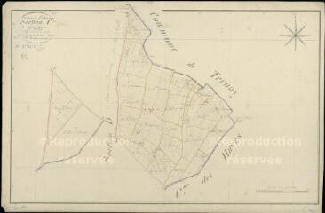 1 vue  - Montrouveau : plans du cadastre napoléonien. Section C dite de richeborde (ouvre la visionneuse)