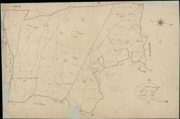 1 vue  - Nouan-le-Fuselier : plans du cadastre napoléonien. Section D1 dite des Livrys (ouvre la visionneuse)