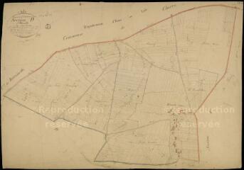 1 vue  - Ouzouer-le-Doyen : plans du cadastre napoléonien. Section D1 dite d\'hauville (ouvre la visionneuse)