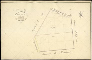 1 vue  - Saint-Léonard-en-Beauce : plans du cadastre napoléonien. Section A2 dite de la forêt (ouvre la visionneuse)