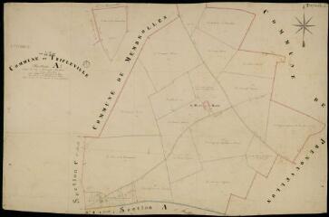 1 vue  - Tripleville : plans du cadastre napoléonien. Section A1 dite de la mouise martin (ouvre la visionneuse)