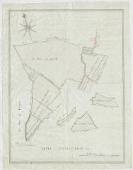 1 vue  - [Les-Roches-l\'Évêque : plan de terres appartenant à l\'abbaye de la Virginité, avec le chemin des Roches à Savigny] ; fecit Chaintron, 1781. (ouvre la visionneuse)