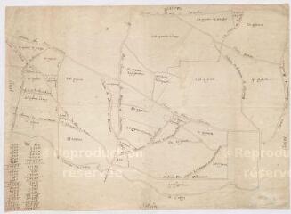1 vue  - [Huisseau-sur-Cosson : plan d\'une partie du chemin de Nozieux, route de Blois à Chambord, XVIIIe]. (ouvre la visionneuse)