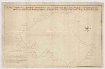 1 vue  - [Chouzy-sur-Cisse] : plan géométral des bois du Ranson dépendant de l\'abaïe royale de Marmoutiers, par Nozereau, arpenteur, 1742. (ouvre la visionneuse)