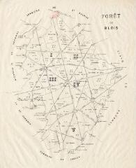 1 vue  - [Blois] : forêt de Blois, XIXe, carte imprimée. (ouvre la visionneuse)