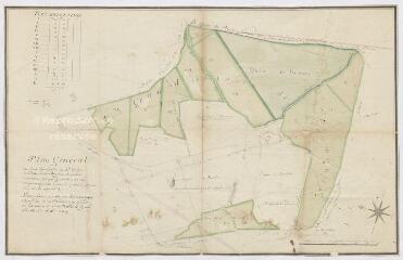 1 vue  - [Fontaine-Raoul] : plan général des bois dépendants de l\'Hôtel-Dieu de Châteaudun, appelés l\'Aumône, par Deschamps arpenteur, 1760. (ouvre la visionneuse)