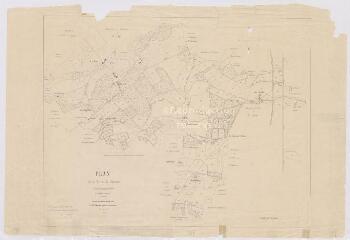 1 vue  - [Salbris, La Ferté-Imbault] : plan de la terre du Chesne située communes de Salbris et la Ferté-Imbault, extrait du cadastre modifié, 1880. (ouvre la visionneuse)