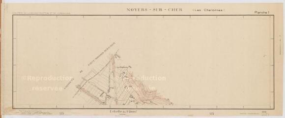 1 vue  - Noyers-sur-Cher : plan topographique régulier [secteur des Chalonnes] dressé par le Ministère de la Reconstruction et de l\'Urbanisme, 1949, plan imprimé. (ouvre la visionneuse)
