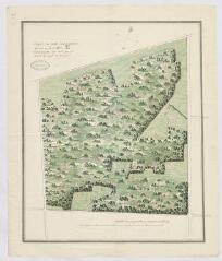 1 vue  - [Menars] : coupe du parc de Menard [?, 1773], dessin plume et aquarelle. (ouvre la visionneuse)