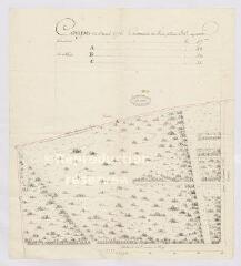 1 vue  - [Menars] : coupe de l\'année 1776 [grand parc], dessin plume et aquarelle. (ouvre la visionneuse)