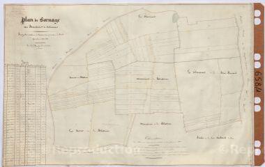 1 vue  - [Selommes] : hôpital général, ferme du Bouchet : plan de bornage. Par Bouchet, [?], janvier 1849, plume. (ouvre la visionneuse)