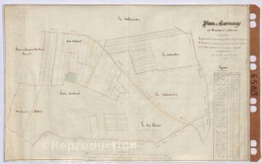 1 vue  - [Selommes] : ferme du Bouchet : plan de bornage. Par Bouchet, [?], janvier 1849 et 1866, plume. (ouvre la visionneuse)