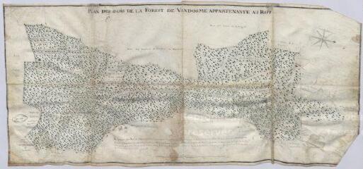1 vue  - [Vendôme] : plan des bois de la forest de Vandosme appartenante au Roy. Levé et dressé par Ergo, octobre 1741, plume et aquarelle. (ouvre la visionneuse)