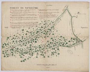 1 vue  - [Vendôme] : forest de Vendôme, [Les Bellesévries, ca 1743], plume et aquarelle. (ouvre la visionneuse)