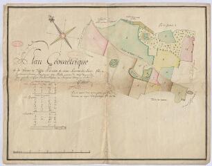 1 vue  - [Saint-Laurent-Nouan : plan géométrique de la ferme du Tuffet [Tuffay], paroisse de Saint-Laurent-des-Eaux, [XVIIIe], plume et aquarelle. (ouvre la visionneuse)