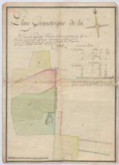 1 vue  - [Ouzouer-le-Marché] : plan géométrique de la ferme des Granges, paroisse d\'Ousouer le Marché, [XVIIIe], plume et aquarelle. (ouvre la visionneuse)