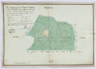 1 vue  - [Vendôme] : plan géométrique de la portion existante du quart de réserve des Bois de Messieurs de l\'Oratoire, 19 juin 1777, plume et aquarelle. (ouvre la visionneuse)