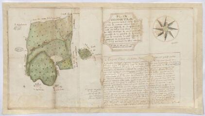 1 vue  - [Vendôme] : plan géométral du quarreau de bois taillis appellé le Bois de Courtiras [?.], 7 décembre 1724, plume et aquarelle. (ouvre la visionneuse)