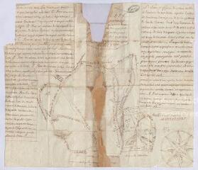 1 vue  - [Vendôme] : plan et figure des bois taillis de l\'Oratoire de Vendôme appelés les bois de Courtiras [?], 16 mai 1729, plume. (ouvre la visionneuse)