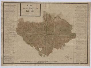 1 vue  - Blois : plan de la forêt de Blois, s.d. [après 1713]. plan de la moitié occidentale de la commune, des Grouets, de la partie occidentale de la forêt et la rive droite de la Loire jusqu\'aux Imberts, s.d. [antérieur à 1716]. Echelle d\'une lieue (ouvre la visionneuse)
