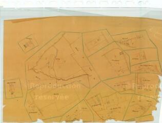 1 vue  - Champigny-en-Beauce (Commune de) : plan de remembrement. Section C/H (ouvre la visionneuse)