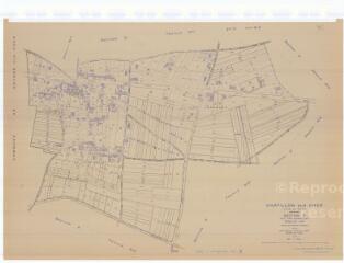 1 vue  - Châtillon-sur-Cher (Commune de) : plan de réorganisation foncière. Section VA (ouvre la visionneuse)