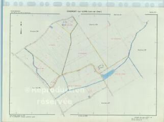 1 vue  - Chaumont-sur-Loire (Commune de) : plan de remembrement. Section ZN (ouvre la visionneuse)