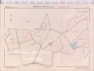 1 vue  - Chaumont-sur-Loire (Commune de) : plan de remembrement. Section ZV (ouvre la visionneuse)