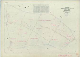1 vue Prunay-Cassereau (Commune de) : plan de remembrement. Section ZD