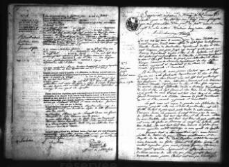 580 vues  - Registre d\'état civil. microfilm des registres des naissances, mariages, décès. (avril 1813-1842). microfilm des registres des naissances. (1843-1861) (ouvre la visionneuse)