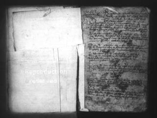 613 vues  - PLESSIS-DORIN (LE). - Etat civil : microfilm des registres des baptêmes, mariages, sépultures. (1609-1730) (ouvre la visionneuse)