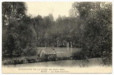 1 vue  - Inondation de la Loire (21 octobre 1907), les Ponts Chartrains. (ouvre la visionneuse)