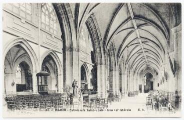 1 vue  - Cathédrale Saint-Louis, une nef latérale. (ouvre la visionneuse)