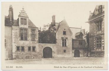 1 vue  - Hôtel du Duc d\'Épernon et du Cardinal d\'Amboise. (ouvre la visionneuse)