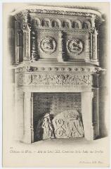 1 vue  - Le château, aile de Louis XII, cheminée de la salle des gardes. (ouvre la visionneuse)