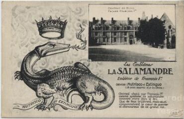 1 vue  - Château de Blois. Façade François 1er - Les emblèmes : la salamandre. (ouvre la visionneuse)