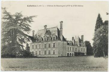 1 vue  - Château de Beauregard (XVIe et XVIIe). (ouvre la visionneuse)