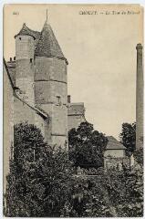 1 vue - La tour du prieuré. (ouvre la visionneuse)