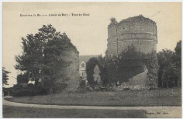 1 vue  - Ruines de Bury, tour du nord. (ouvre la visionneuse)
