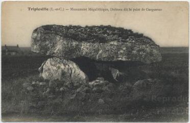 1 vue  - Monument mégalithique, dolmen dit le palet de Gargantua. (ouvre la visionneuse)