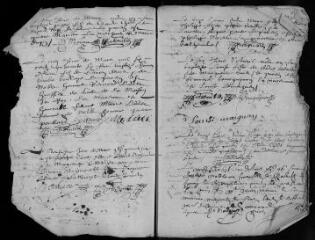 50 vues  - Registre paroissial. Baptêmes (1645-mars 1656) (ouvre la visionneuse)