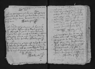 50 vues  - Registre paroissial. Baptêmes (novembre 1599-mars 1606) (ouvre la visionneuse)